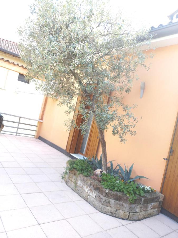 Scalzi 18 Apartamento